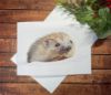 Picture of Hedgehog Christmas card