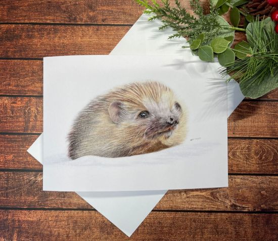 Picture of Hedgehog Christmas card