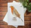 Picture of Robin Christmas card