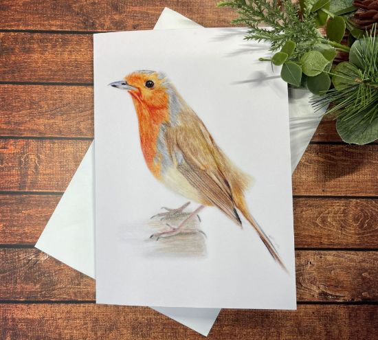 Picture of Robin Christmas card